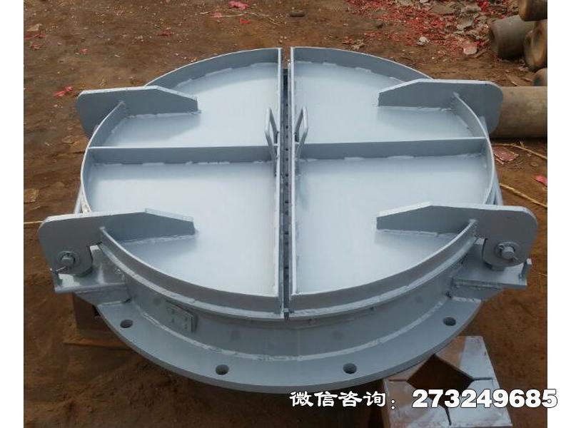 绍兴县市政管道钢制拍门