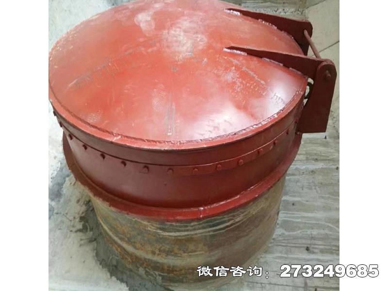 武川县水渠逆止阀铸铁拍门